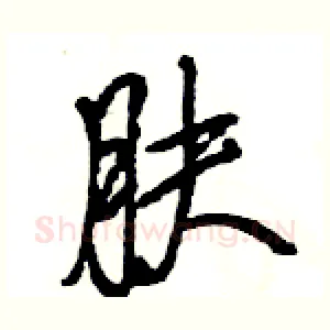 肤