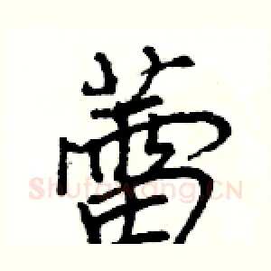 蕾