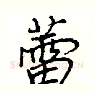 蕾