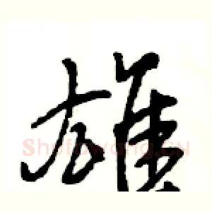 雄