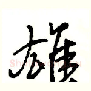 雄