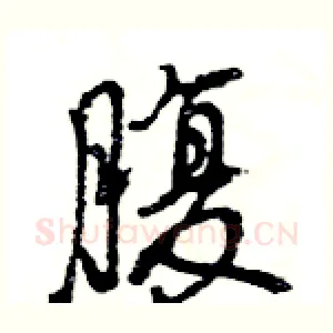 腹
