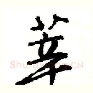 莘