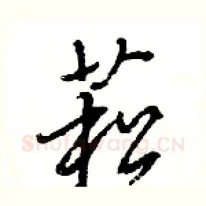 菘