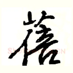 蓓
