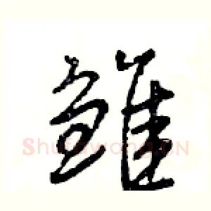 雏