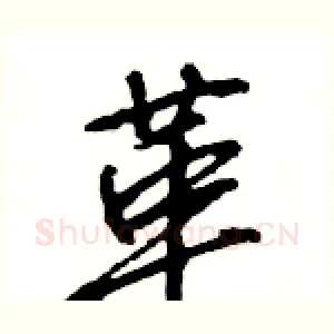 革