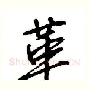 革