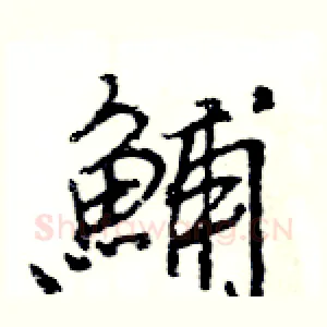 鯆