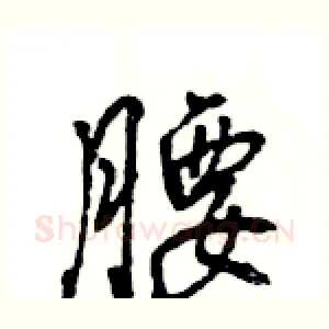 腰