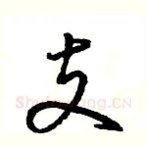 支