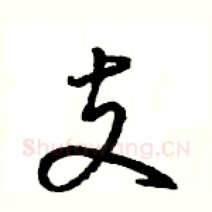 支