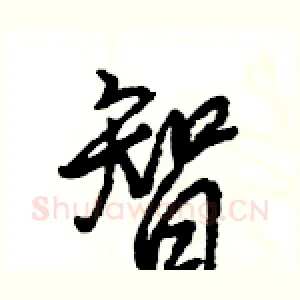 智