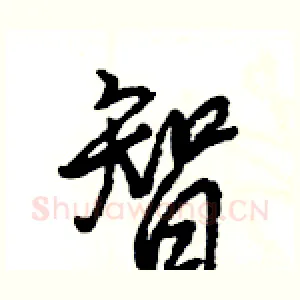 智