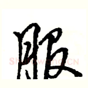 服