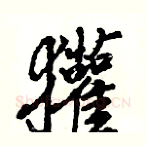 獾