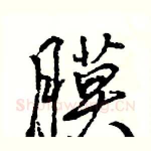 膜