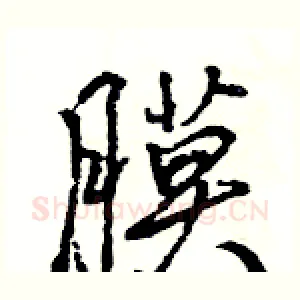 膜