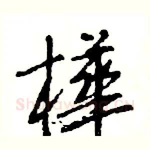 樺