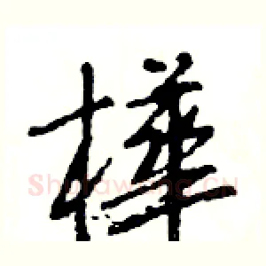 樺