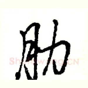 肋