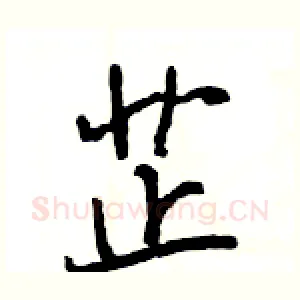 芷