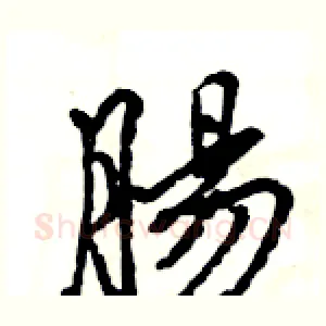 腸