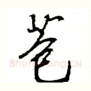 苞