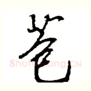 苞