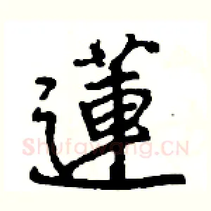 蓮