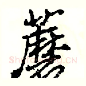 蘑