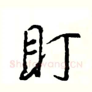 盯