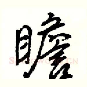 瞻