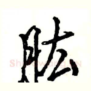 肱