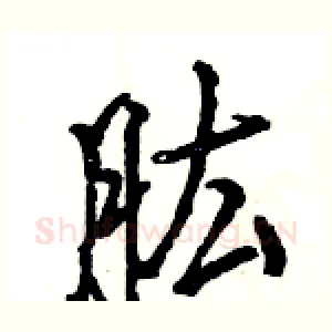 肱