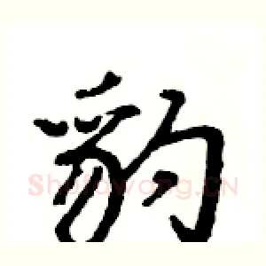 豹