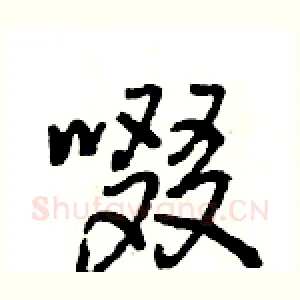 啜