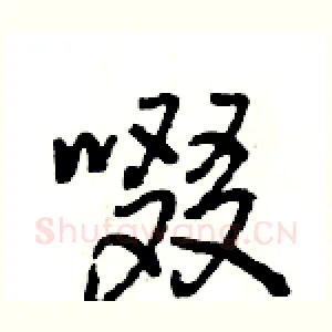 啜