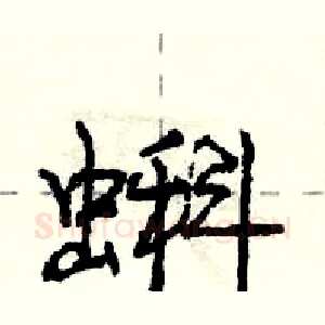 蝌