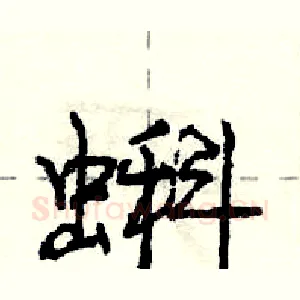蝌