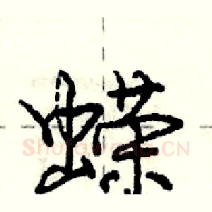 蝾