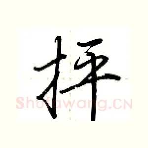 抨