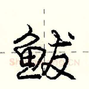 鲅