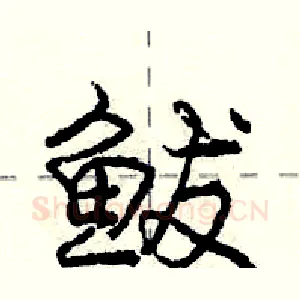 鲅