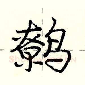 鹩
