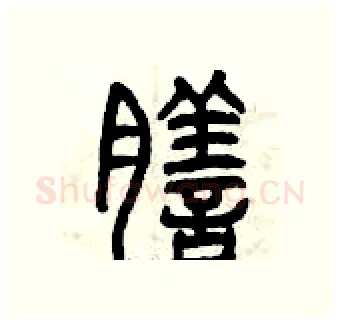 膳硬笔篆书写法,摘自曾庆福硬笔书法字帖