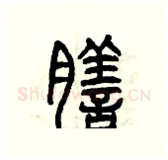 膳硬笔篆书写法,摘自曾庆福硬笔书法字帖