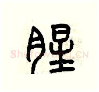 腥硬笔篆书写法,摘自曾庆福硬笔书法字帖