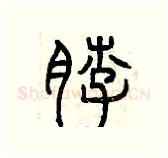 脖硬笔篆书写法,摘自曾庆福硬笔书法字帖