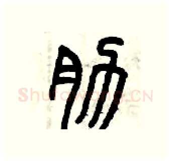 肋硬笔篆书写法,摘自曾庆福硬笔书法字帖